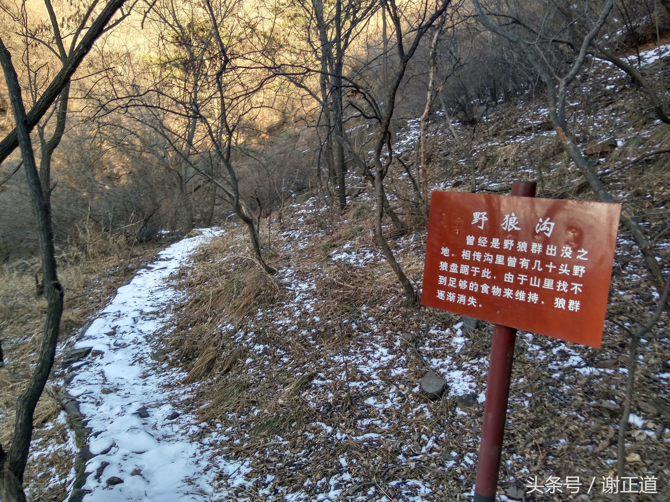 灵寿秋山风景区攻略,灵寿秋山自然风景区电话
