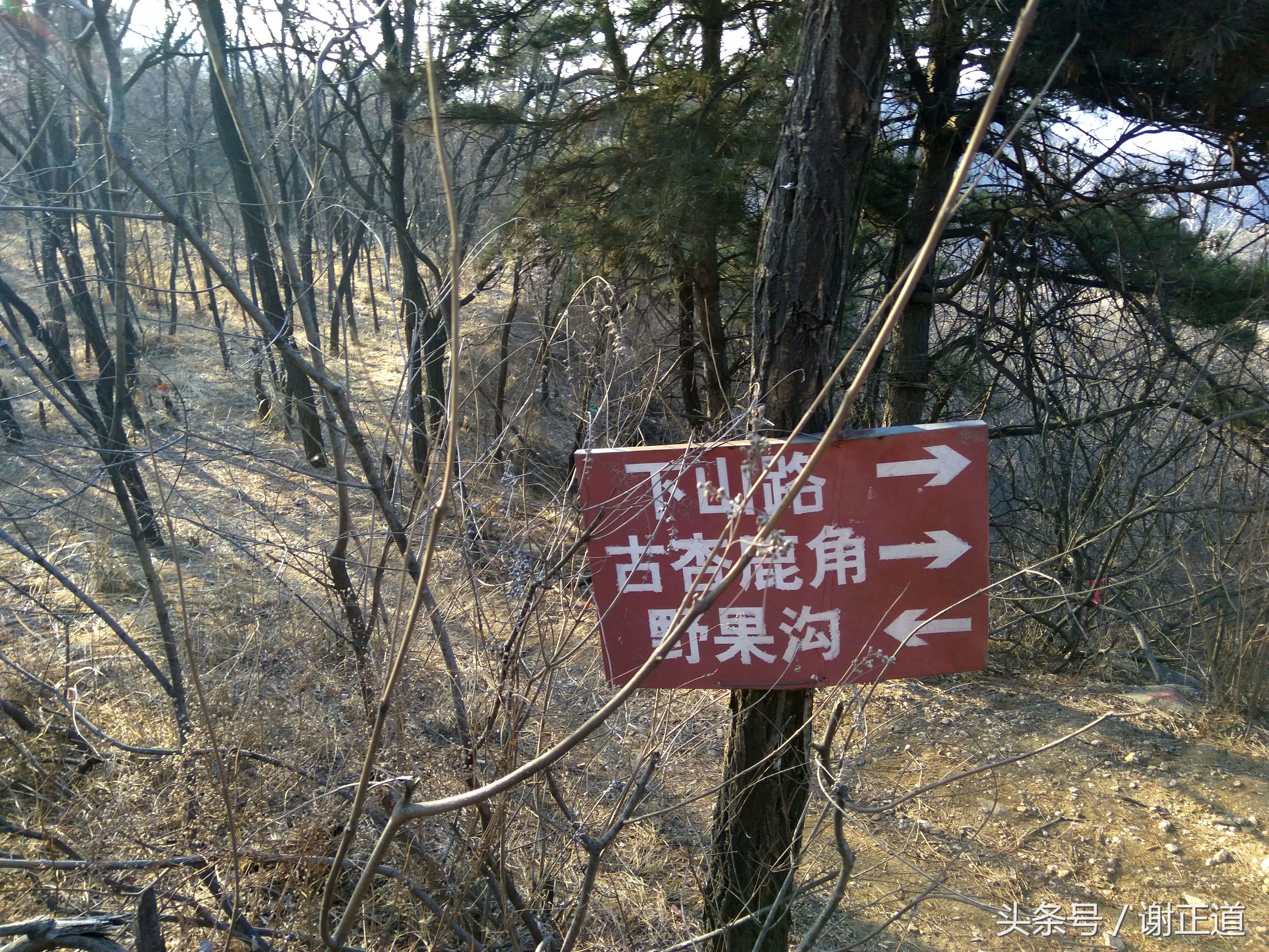 灵寿秋山风景区攻略,灵寿秋山自然风景区电话