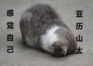 得了小叶增生有哪些是不能吃,得了小叶增生怎么按摩