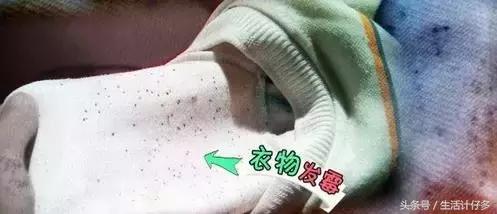 回南天的霉菌用什么擦洗,回南天霉菌怎么消