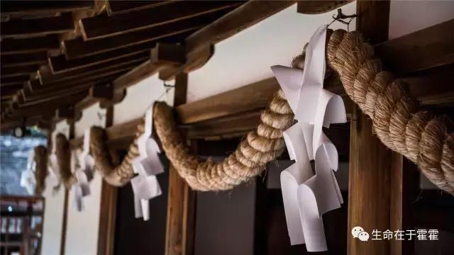 拉面 · 自动贩售机 · 雪｜云之彼岸的日本欢脱之旅