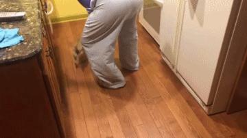 你们女朋友长得怎么样,你们的女朋友怎么样的