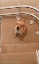 你们女朋友长得怎么样,你们的女朋友怎么样的