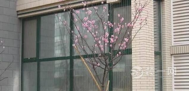 高楼层做窗花好还是隐形防盗网好,要不要做隐形防盗网和封阳台