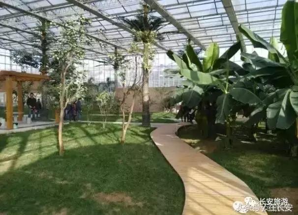 东莞长安有什么好玩的景点,东莞长安景点哪个值得去