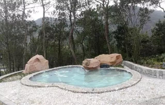 花讯播报泡汤赏花SPA住客房,只在南苑花博园!