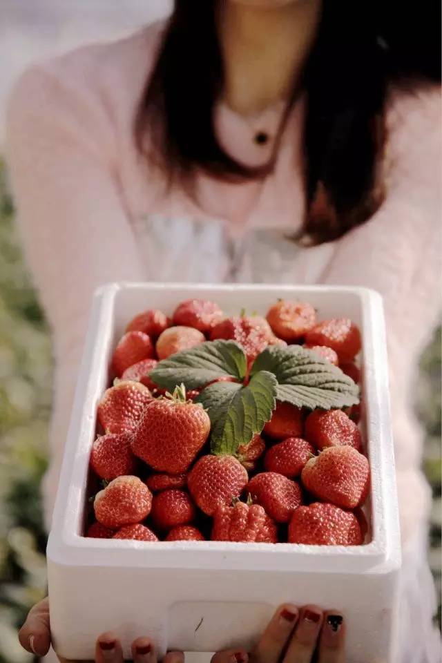 word天！大金普这60个好地方够你玩上一整年！