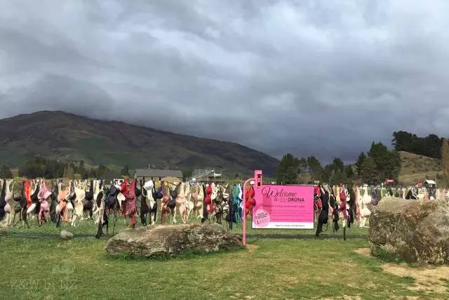 去新西兰绝对不要错过皇后镇,新西兰皇后镇自由行注意事项