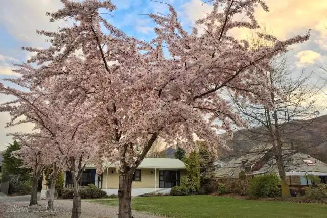 去新西兰绝对不要错过皇后镇,新西兰皇后镇自由行注意事项