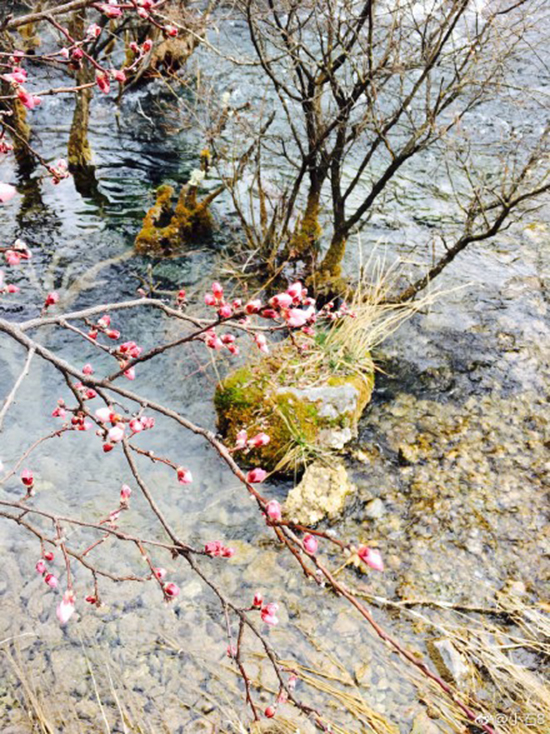3月份九寨沟好不好,三月的九寨沟好吗