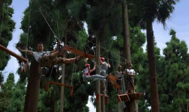 成都春季爬山踏青赏花一日游,成都周边踏青二日游自驾游