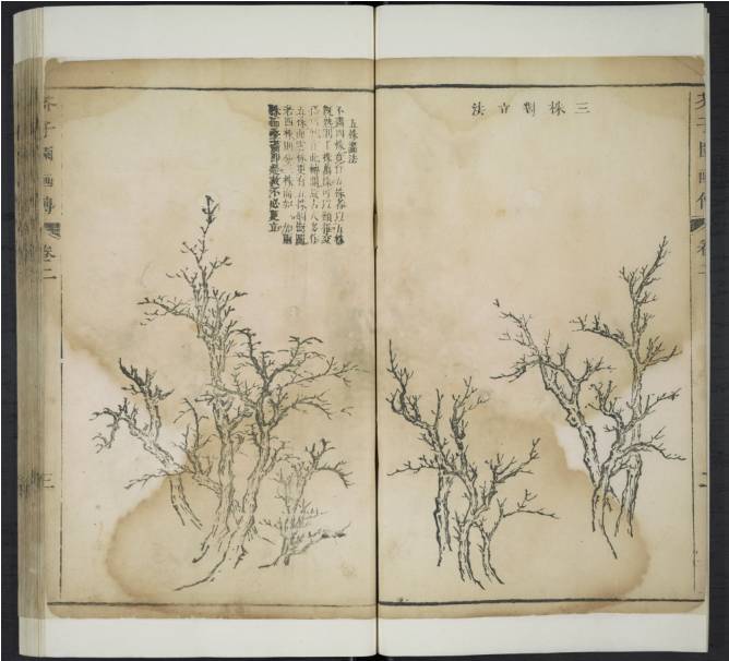 齐白石与芥子园画谱之缘,齐白石画作大全集