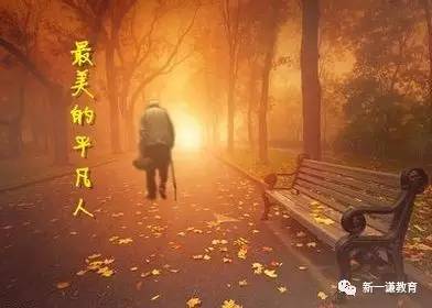 中考作文50篇背诵范文,中考作文41分