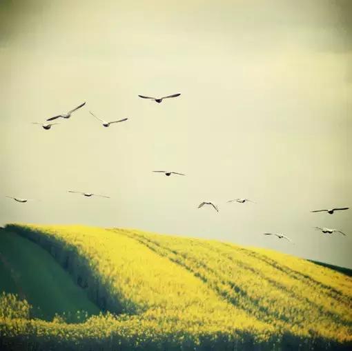 贝勒手中的三样东西,贝勒爷手里三件宝电视剧