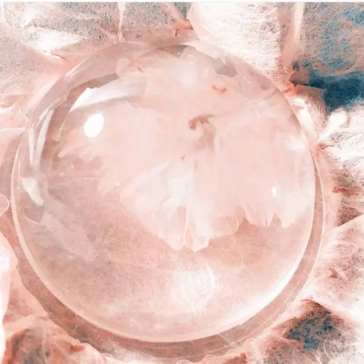 樱花限定款,一起粉出少女味|时令