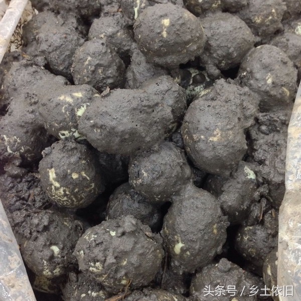 各种腌咸菜大全,农村咸菜大全100种