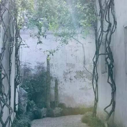 高价彩礼又拆散一对新人,农村彩礼引发两个家庭的悲剧