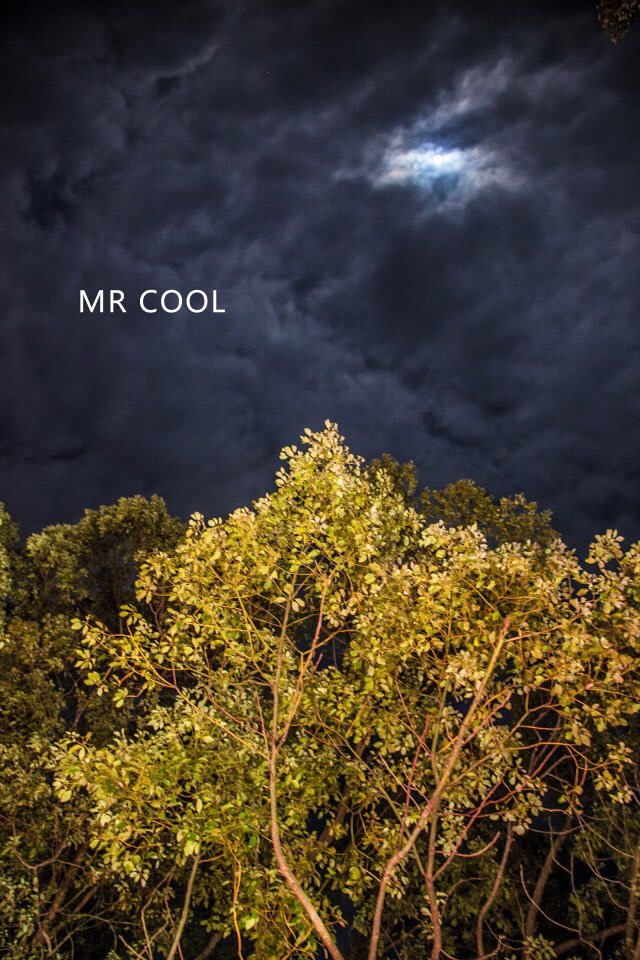 瑞安马屿曹村田园视频,瑞安马屿曹村田园风景图