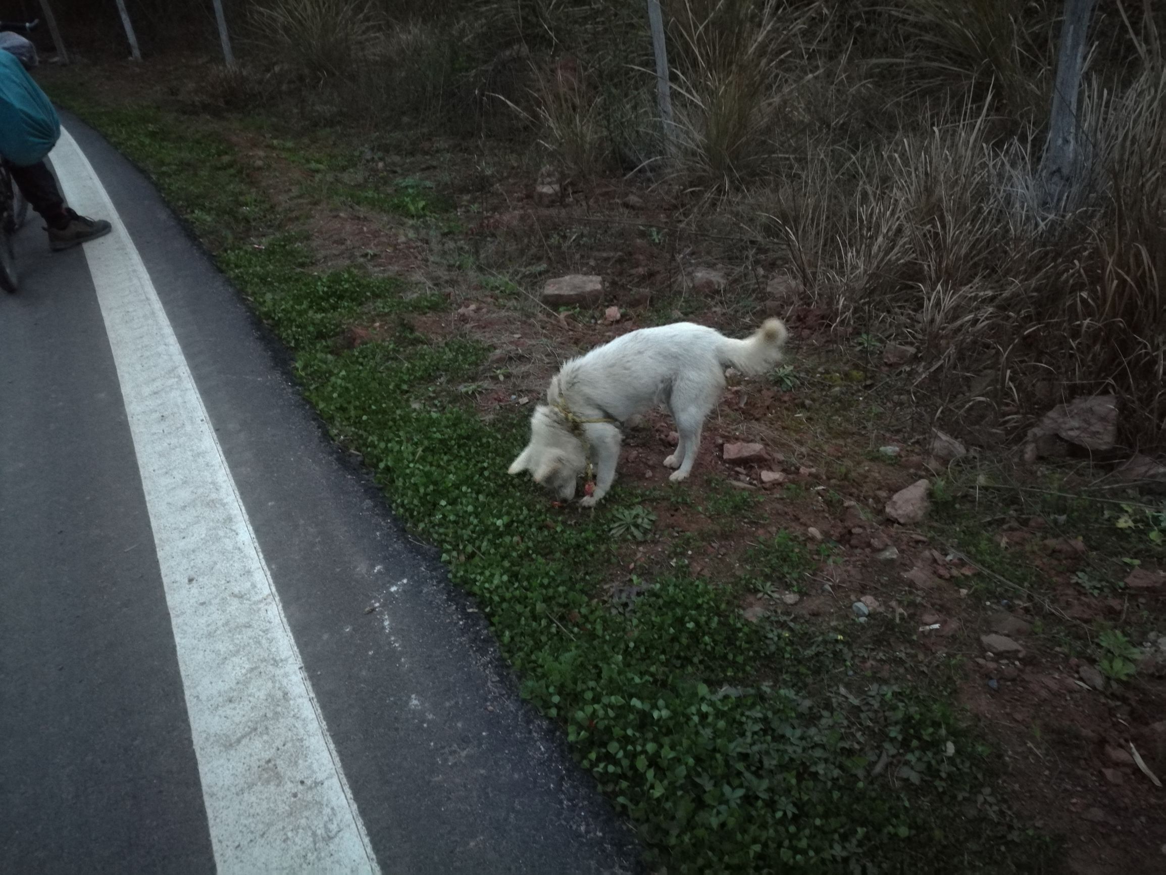 第六天，最艰辛的一日！「千里走单骑X2」广元—剑阁—柳沟镇！