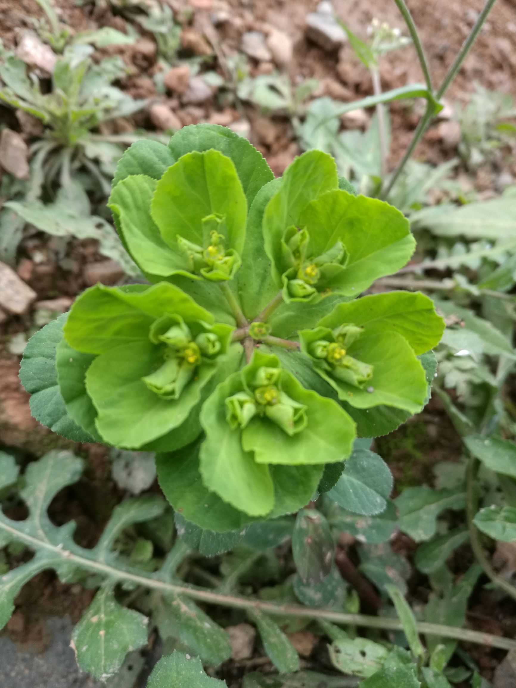 第六天，最艰辛的一日！「千里走单骑X2」广元—剑阁—柳沟镇！