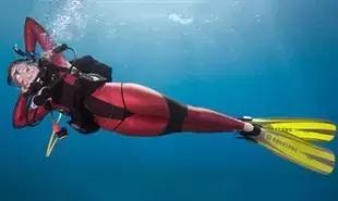 美国学位证书和学历证书,美国学历证书和学位证书