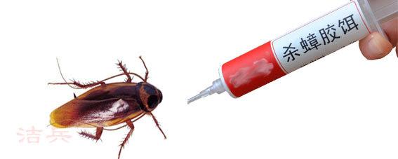 蟑螂怎么消灭最彻底饭店,厨房里面的蟑螂怎样消灭用什么药