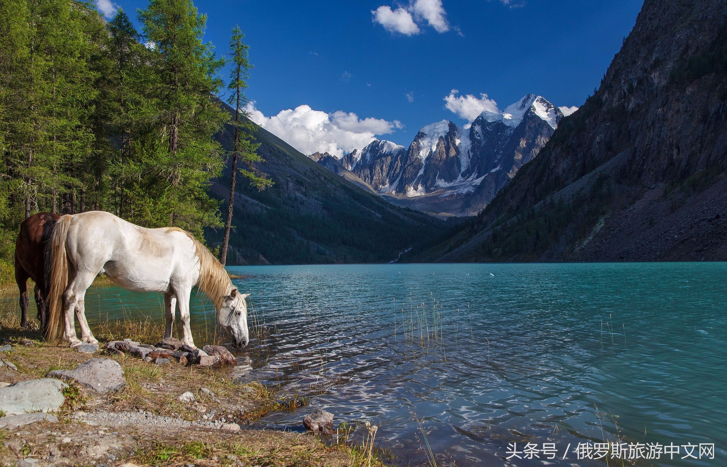 俄罗斯旅游的正确打开方式,这才是年轻人正确的打开方式