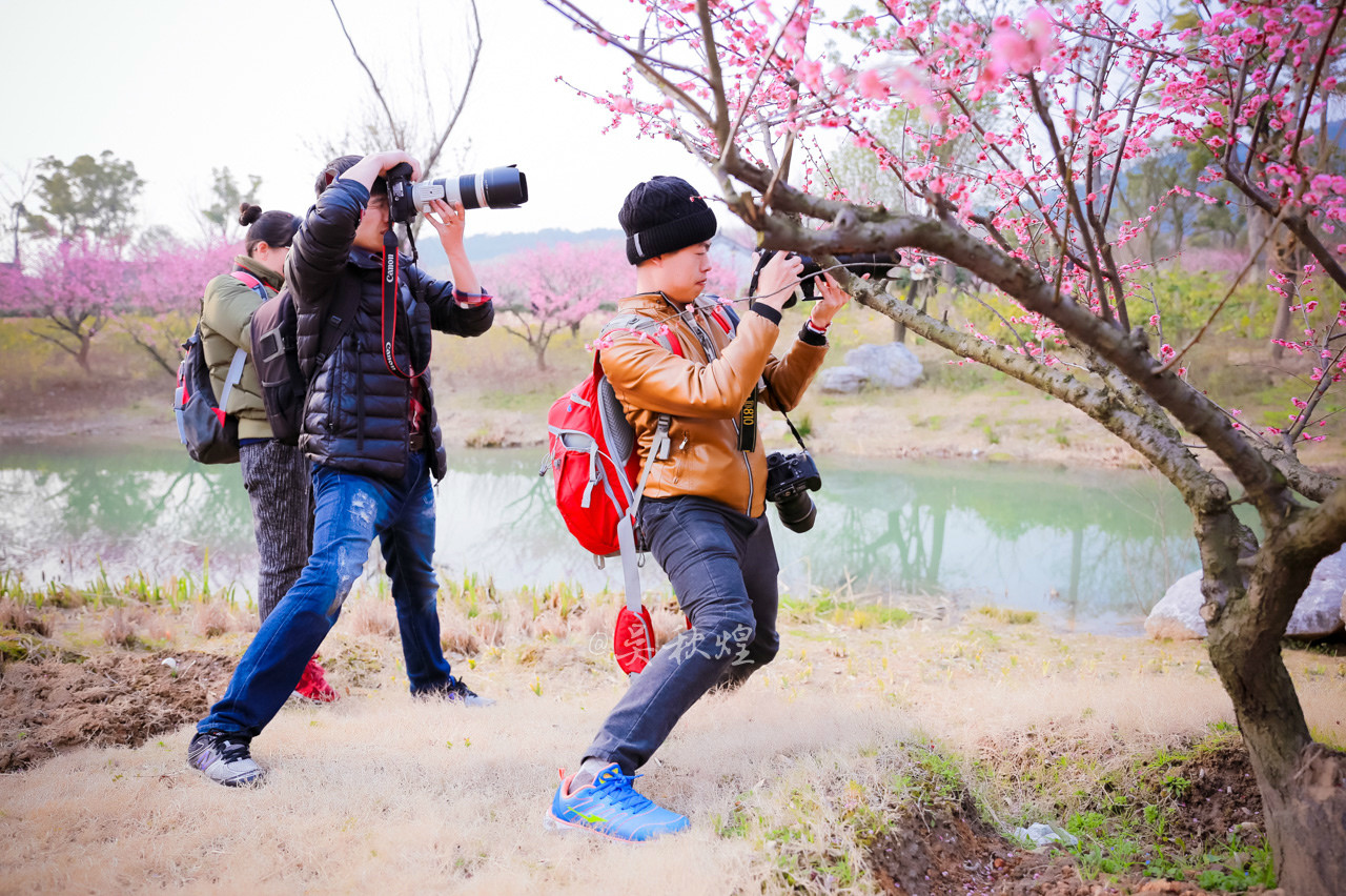 三生三世，十里梅花，遇见张家港
