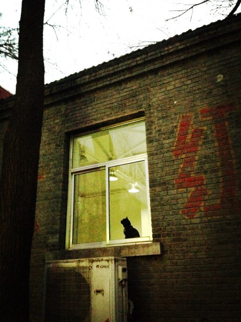 胡同里的办公室–方家胡同WEI建筑