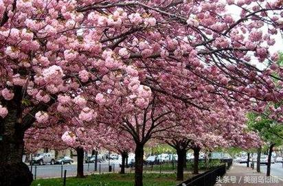 11月底赏秋必去的十个地方,附近适合春天踏春的小众景点