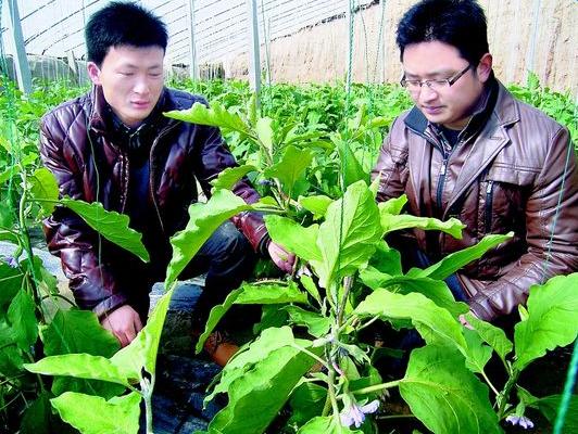 大学生农村创业优惠政策,大学生创业食品类项目