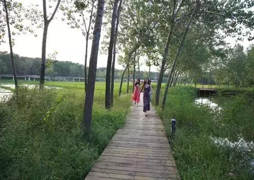 盘点北京38个森林公园,定个小目标完整版免费