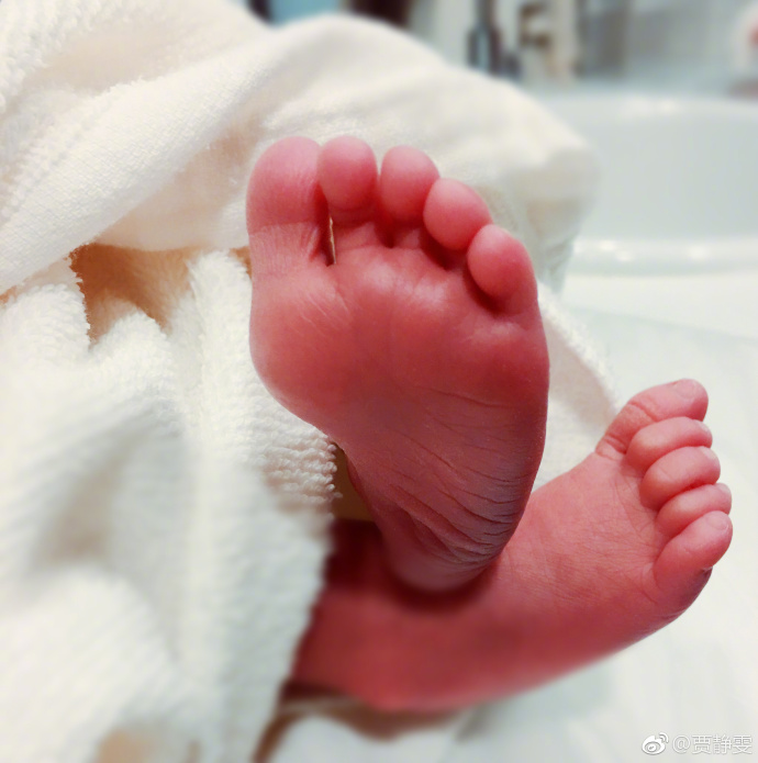 至尊红颜贾静雯与赵卓吻戏,至尊红颜贾静雯和杨童舒