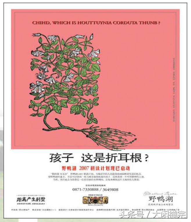 房地产广告文案精选,热门房地产广告文案大全