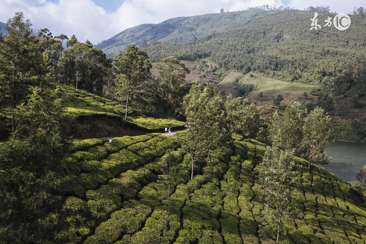 异地恋感觉到背叛了怎么办,异地发现男友背叛