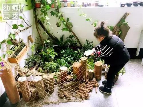 幼儿园如何打造自然区角的环境,复古自然角幼儿园