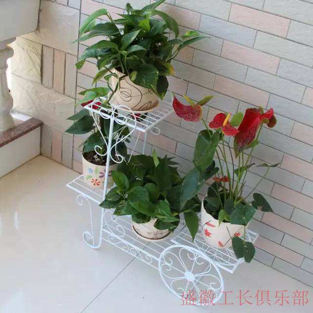 好看的花架客厅,美柏落地式花架