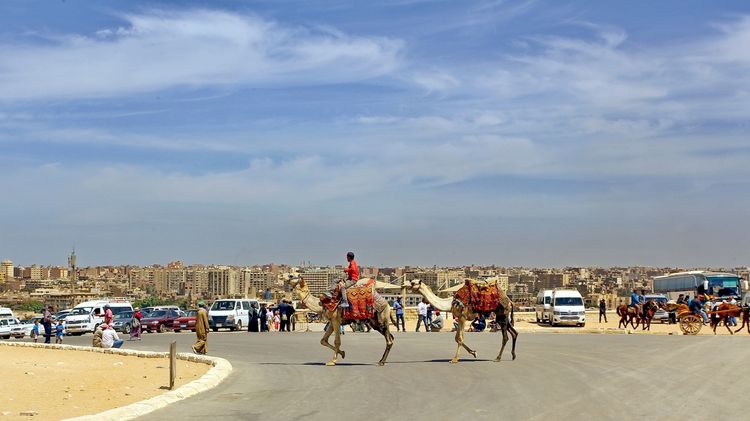 嗨哩文旅丨阿拉伯沙漠明珠、古埃及掠影