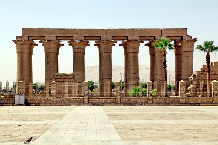 嗨哩文旅丨阿拉伯沙漠明珠、古埃及掠影