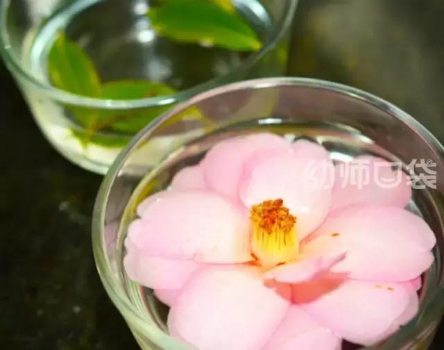 爱不释手的玩具,什么玩具爱不释手