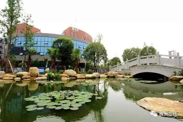 二中今年考得怎么样,二中好进吗