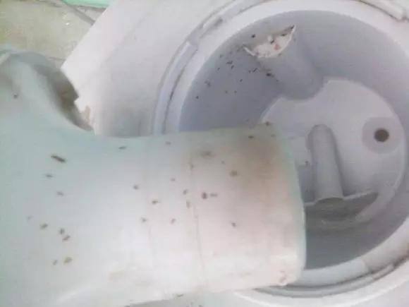 清理饮水机污垢的小诀窍,洗衣机长期没清洗比马桶还脏
