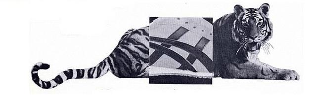 鬼冢虎运动款黑色红标,鬼冢虎耐克