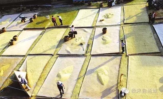 农村这些农活，做过5个的顶起，特别是第七个！