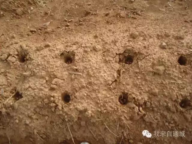 农村这些农活，做过5个的顶起，特别是第七个！