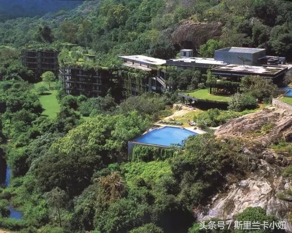 富二代、终身未婚、同性恋……这位混血锡兰人是“斯里兰卡之光”