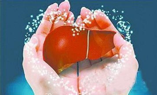 甲基托布津使用注意事项,索非布韦对身体有副作用吗