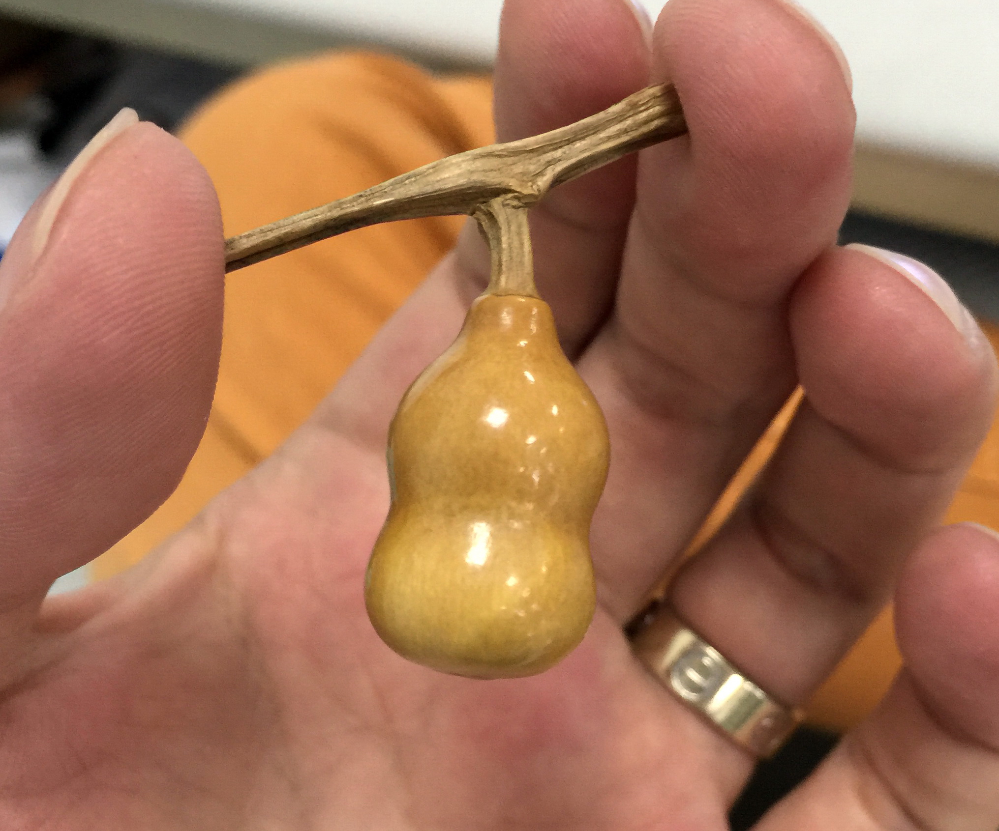 顽主文玩怎么样,文玩老皮手捻葫芦