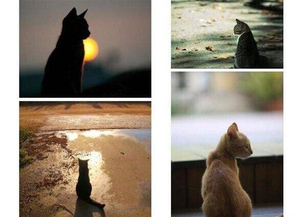 喝水怎么装帅,喝水怎么优雅的喝