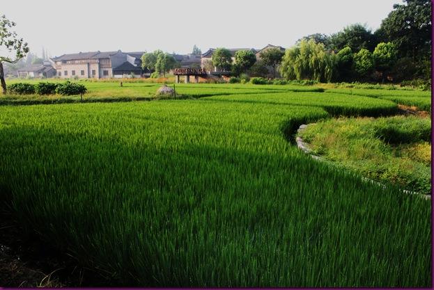 乌镇西栅玩多久合适,乌镇西栅怎样坐游船路线合理